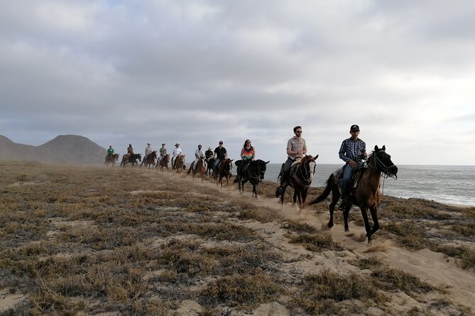 Horseback Riding - Customer Feedback