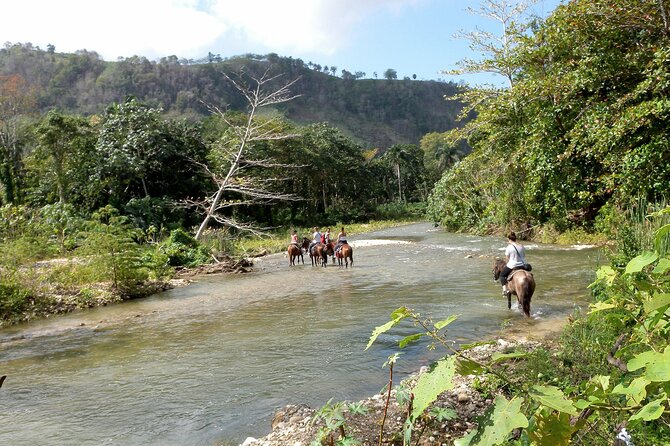 Horseback Riding Across Indigenous Trails Puerto Plata - Guest Feedback