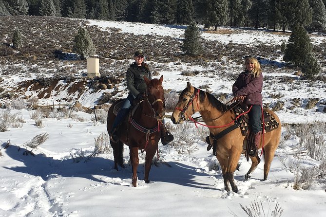 Horseback Riding Adventure From Reno - Preparing for the Tour