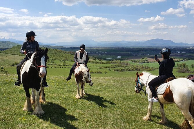 Horseback Riding Adventure Tour Through Brasov Landscape - Positive Review Highlights