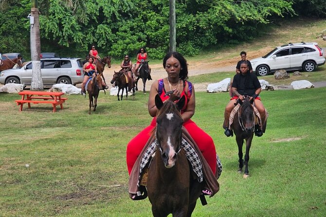 Horseback Riding at Hawksbill Beach in Five Islands Antigua - Guided Tour Experience