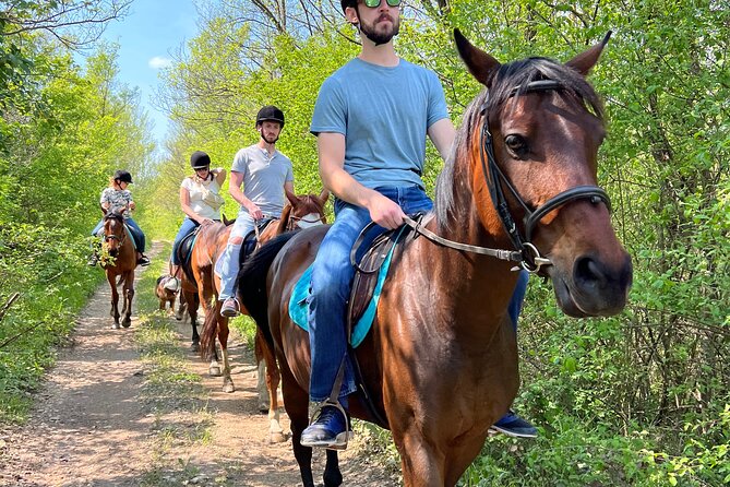 Horseback Riding Experience With Transport From Dubrovnik - Scenic Countryside Ride