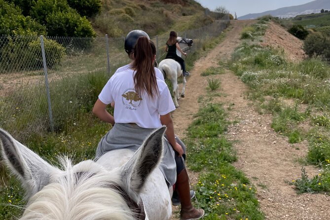 Horseback Riding With Certified Guide Review - Key Considerations