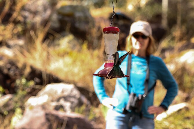 Hummingbirds of the Sacred Valley - Cusco - Protecting Perus Natural Wonders