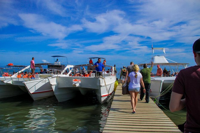 Humpback Whales Watching + Samana Eco-Tour - Pricing and Inclusions