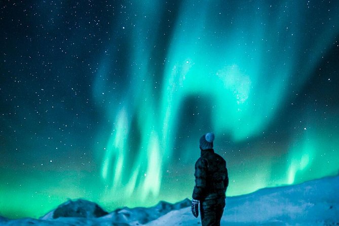 Hunt for the Northern Lights in Kiruna - Abisko - Customer Reviews and Feedback