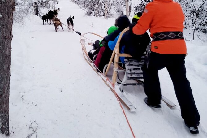 Husky Sledding Ride in Levi 5 KM - Booking and Cancellation Policies