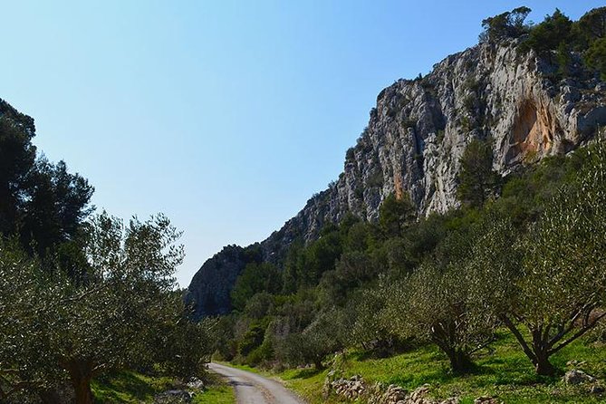 Hvar Lavender Tour - Pickup and Duration