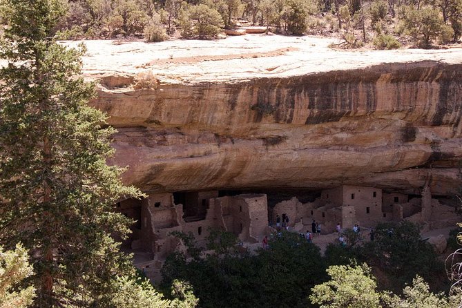 Immersive Mesa Verde National Park Tour With Guide - Traveler Reviews and Feedback