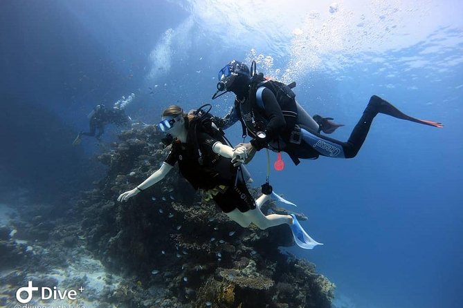 Intro Scuba Diving Experience in Hurghada - Traveler Reviews and Ratings