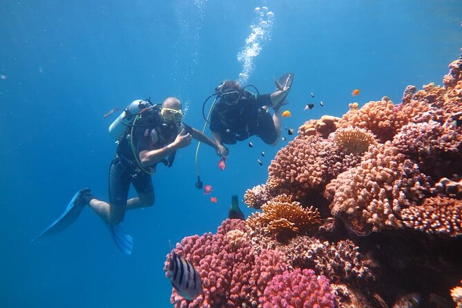 Intro Scuba Diving - Staff Interactions