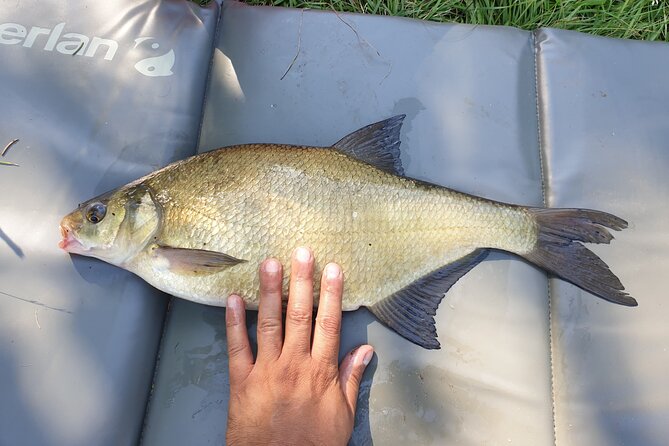 Introduction to Fishing in Strasbourg - Accessibility and Accommodations