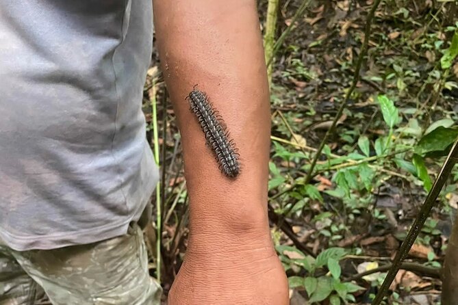 Iquitos: Amazon Adventure: Nature and Wildlife | 3 Days - Cultural Interactions and Learning