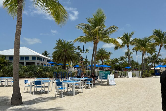 Islamorada: Snorkeling From the Islander Hotel - Things To Known