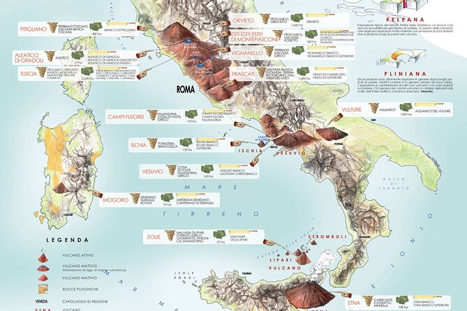 Italian Reds: a Sensory Journey From Lightness to Strength - Booking Your Experience