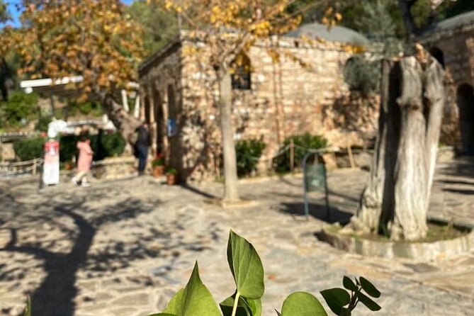 Izmir to Private Ephesus - Artemission Temple-Mother Marys House - Explore Ephesus and Attractions