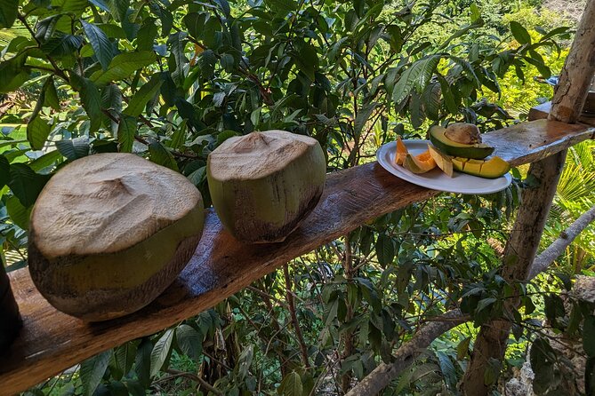 Jamaican Roots Tropical Farm Tour - Explore & Chill (2 Hr) - Exploring the Farm