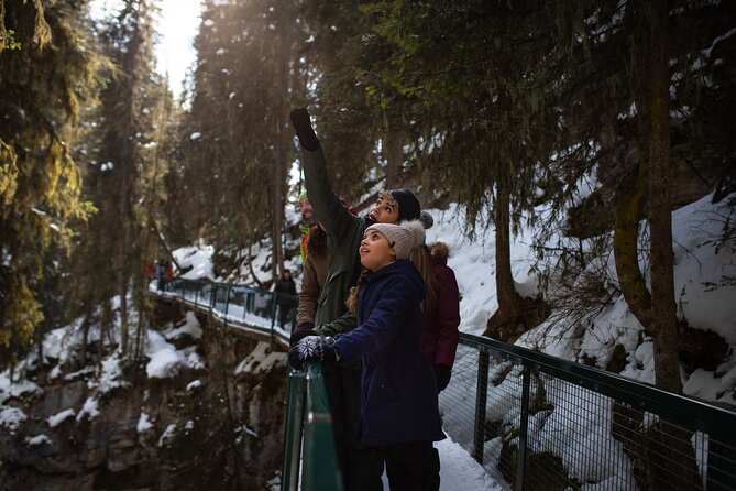 Johnston Canyon Frozen Waterfalls & Banff Backroads Wildlife Tour - Scenic Highlights