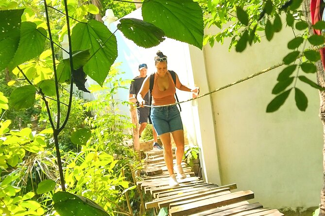 Jungle and Exotic Beaches, Hiking in Puerto Vallarta - Accessibility and Transportation
