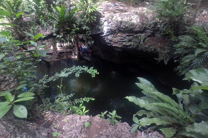 Jungle Jeep Adventure to Mayan Caves, Cenote and Snorkel - Snorkeling at Jade Cavern