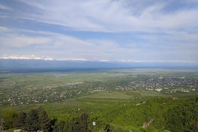 Kakheti Wine Tour · Full Day Private Tour · Trending Georgia - Cuisine and Tastings