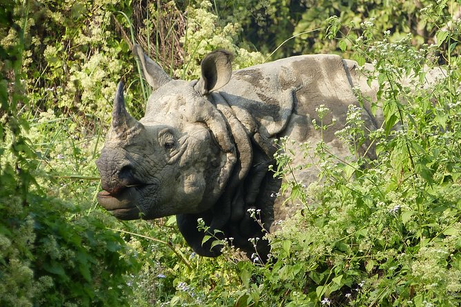 Kathmandu Chitwan Pokhara - Practical Travel Information