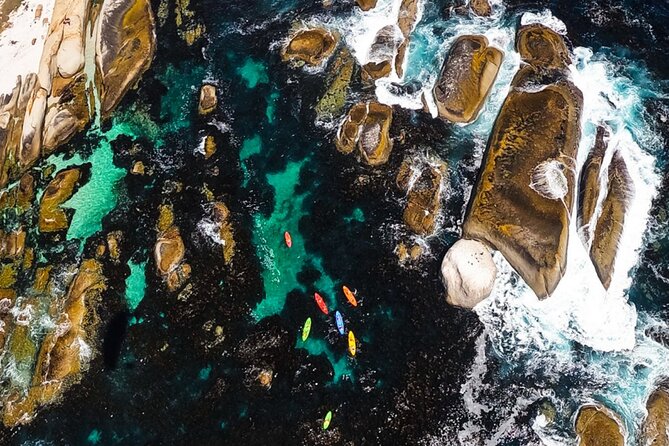 Kayak Adventure at Clifton Beach - Customer Reviews and Experiences