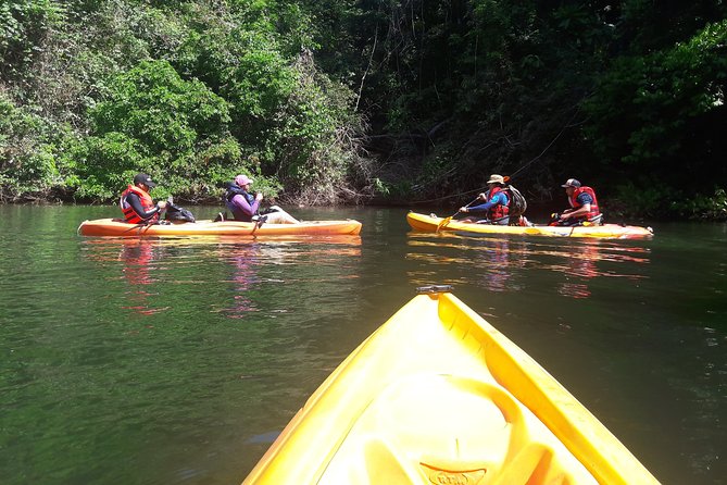 Kayak and Embera Village in Chagres Park - Final Verdict On This Stay