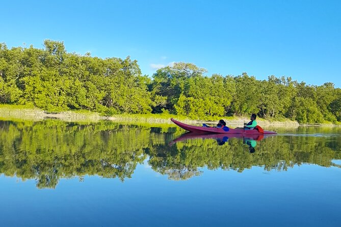Kayak Experience in the Mangroves of Holbox Island - Accessibility and Fitness Level