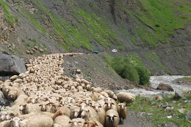 Kazbegi Day Trip - Reviews and Ratings