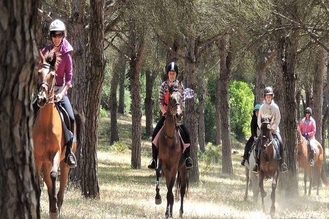 Kemer Horse Safari Experience With Free Hotel Transfer - Tour Size and Cancellation Policy