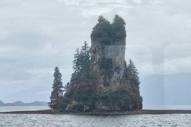 Ketchikan Whale Watching and Nature Tour - Pricing and Reviews