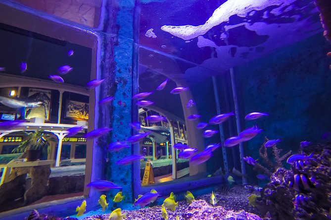 Key West Aquarium Admission - Operating Hours