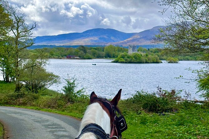 Killarney Jaunting Car Tour - Cancellation and Refund Policy
