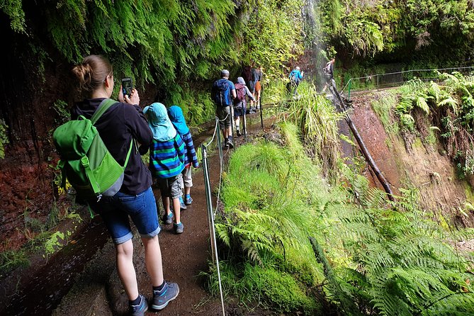 Kings Levada - São Jorge - Endemic and Exotic Plant Sightings