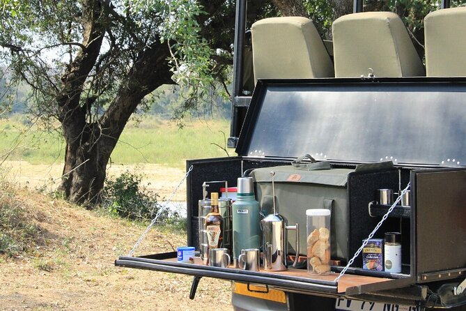 Kruger National Park Afternoon Sunset Safari Tour - Sights and Wildlife