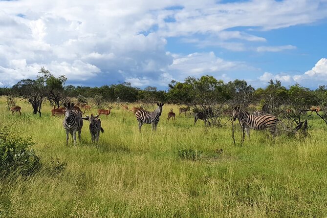Kruger National Park & Panorama Route From Johannesburg 3 Days & 2 Nights - What to Expect