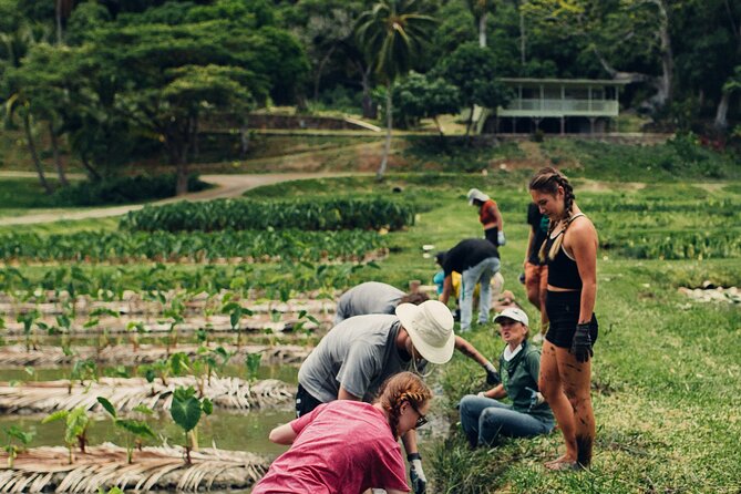 Kualoa Ranch: Malama Experience Tour - Highlights of the Malama Experience