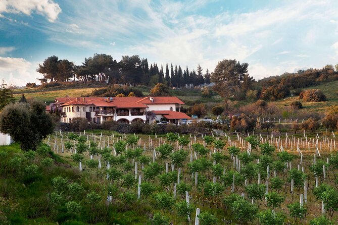 Kusadasi Shore Excursions Ephesus and Wine Tasting Tours - Meeting and Pickup Details