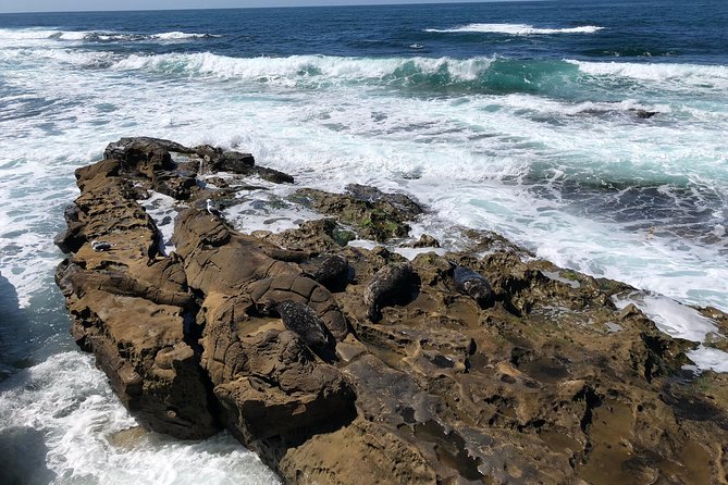 La Jolla Segway Tour - Cancellation Policy