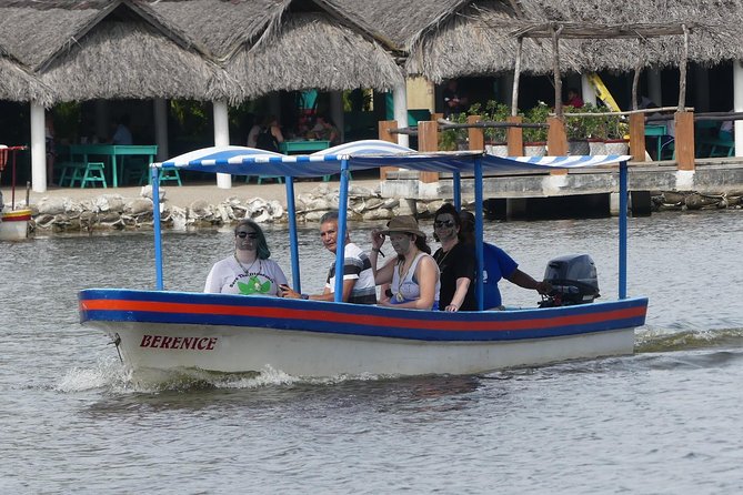 Lagoon Ride AfroMex Village Baby Turtle Release &Croc Farm Visit - AfroMex Village and Cultural Exploration