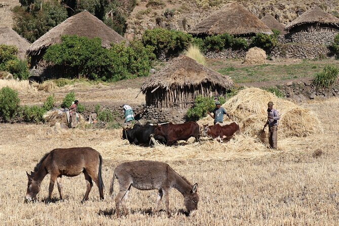 Lalibela 2-Day Eco Trekking Tour - Pricing Information