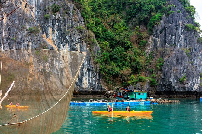 Lan Ha Bay 2 Days 1 Night - Luxury 4*Vspirit Cruise - Reviews and Ratings