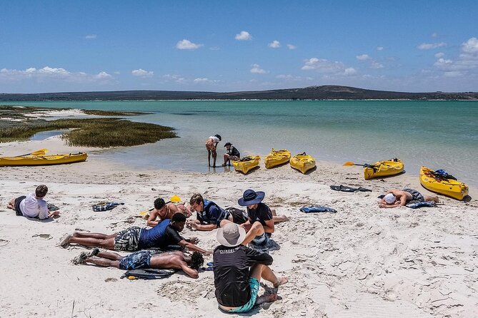 Langebaan Lagoon Island Kayak Experience - Customer Reviews and Feedback
