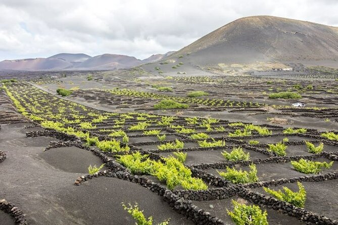 Lanzarote Volcanoes Tour Departing From Fuerteventura - Booking and Pricing