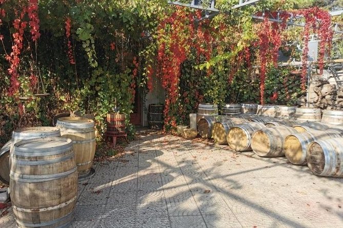 Lebanon Wine Tasting Tour From Beirut - Traveler Feedback