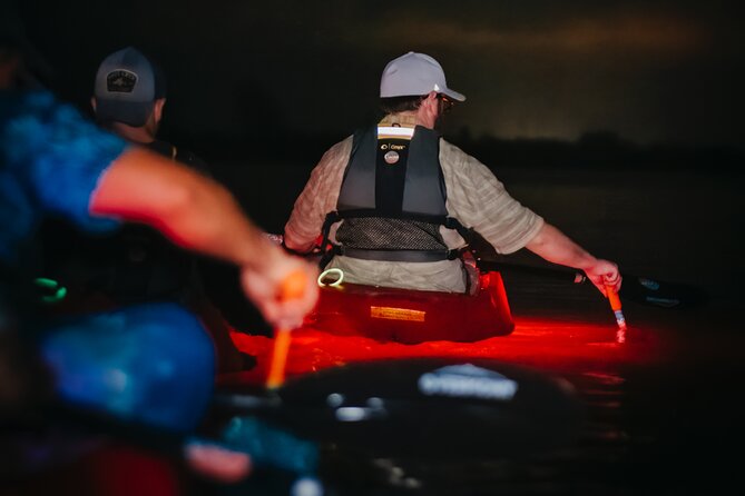 LED Bio Comb Jelly Clear Bottom Kayak or Paddleboard Tour! - Wildlife and Nature Insights