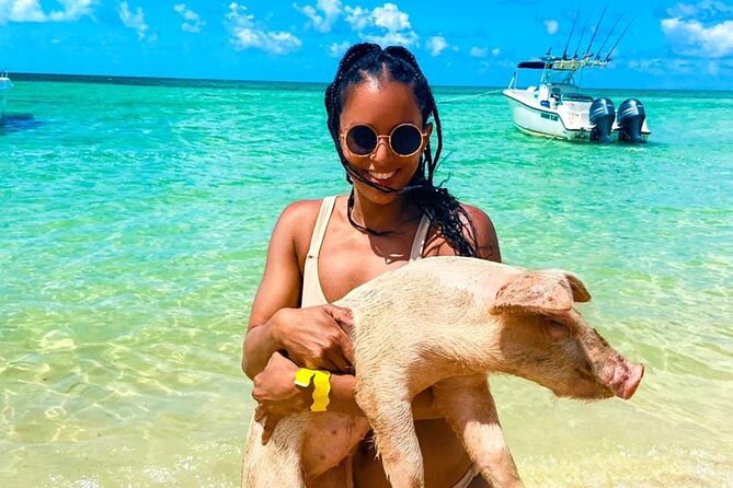 Lets Get Piggy With It: a Splashin Good Time With the Pigs! - Responding to Feedback