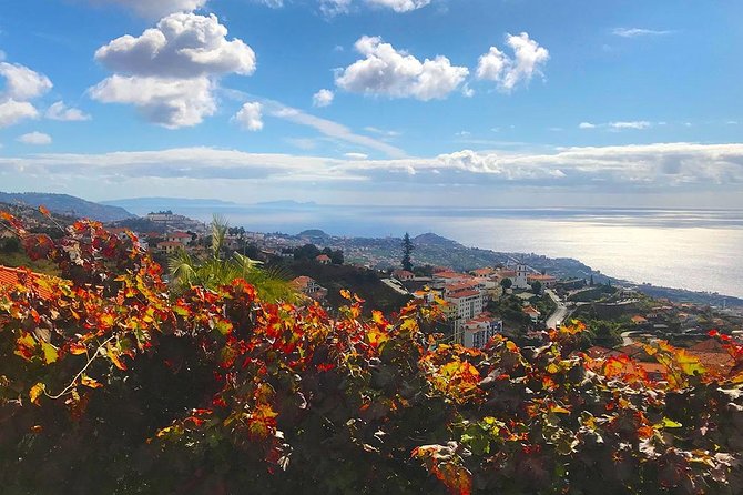 Levada Do Norte - Walking Tour - Accessibility and Restrictions
