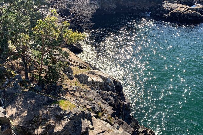 Lighthouse Park Hike - Booking Information